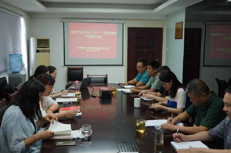 咨询团支部组织召开学习dcbox小金库官网总书记“七一”讲话精神研讨研讨会