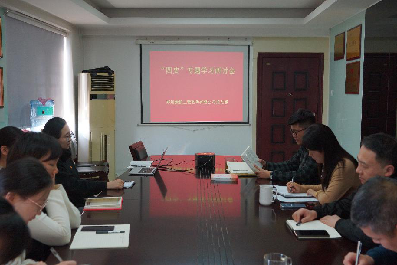 咨询团支部召开“四史”学习教育专题研讨会