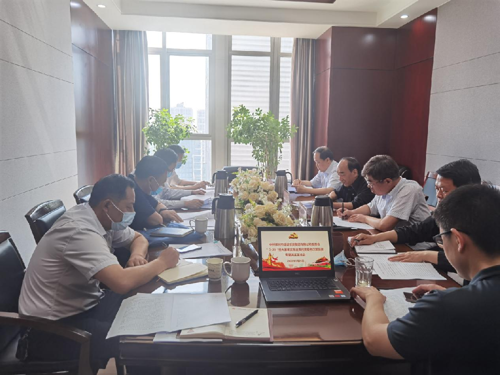 dcbox小金库官网党委领导班子召开“7·20”特大暴雨灾害追责问责案件以案促改专题民主生活会