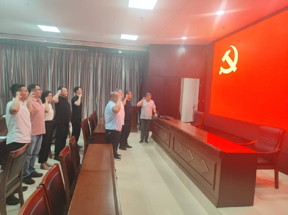 联合团支部召开“迎七一”主题党日活动暨召开第二季度党员大会